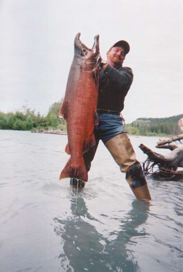my huge king salmon fish