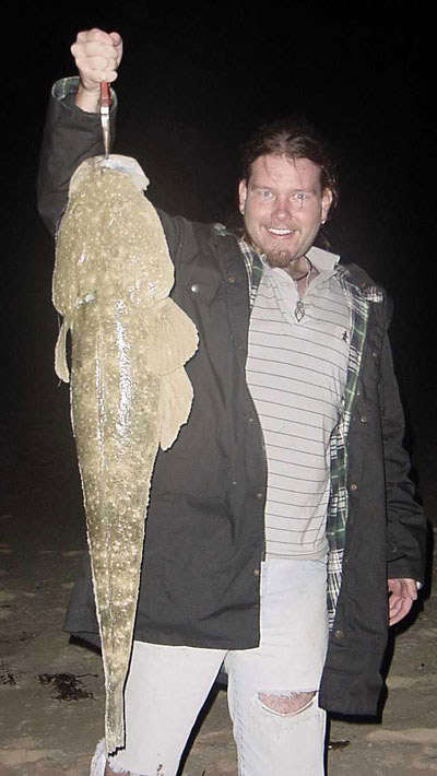 huge tasmanian Dusky flathead fish