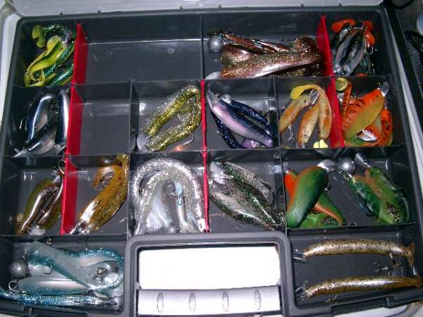 my fav shads fish