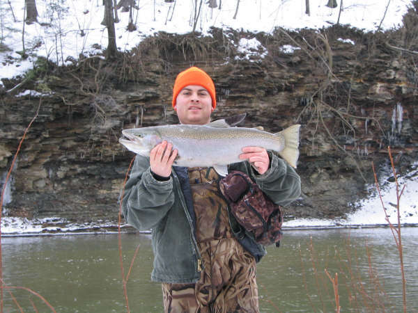 Ohio Steel fish