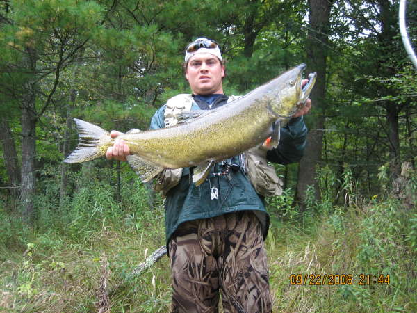 Pere Marquette Salmon 2006 fish