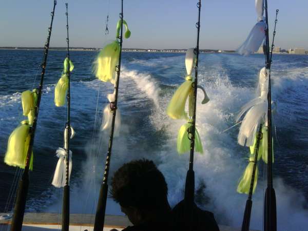 tackle fish