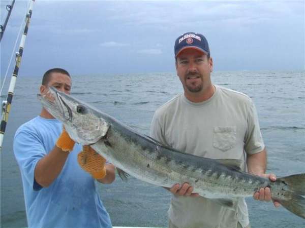 54" barracuda fish