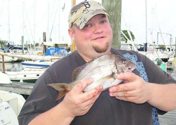 PORGIE!!! fish