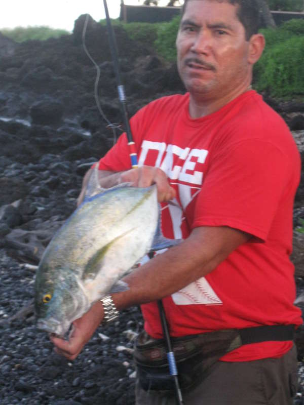 everyday catch in hawaii fish