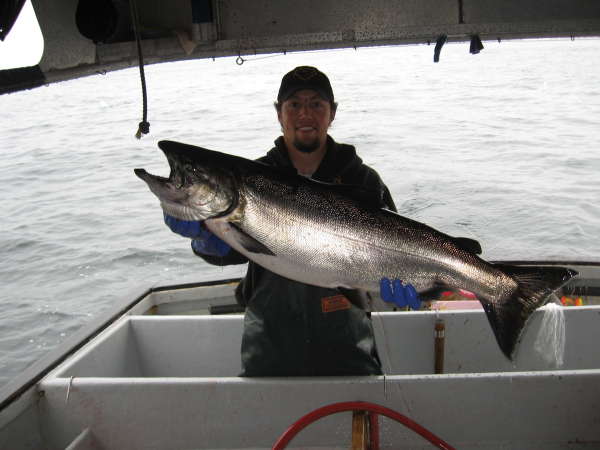 30# King, Sitka, AK fish