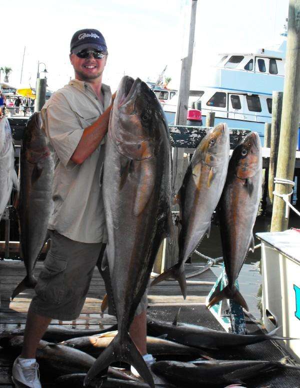 80 Pound Amberjack fish