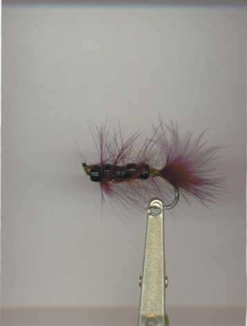 Bead fly fish