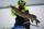 CanadianAngler fish