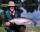 Niner fish