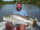 bob newman fish