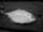 Spud fish