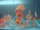 misslove fish