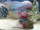 Adera Mugambe fish