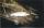 canuckian fish
