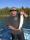 hookset fish