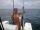 Niner fish