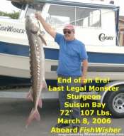FishWisher