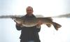 42"/ 22 lb. pike fish