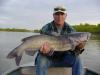 37"/26 lb. channel cat fish