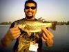 bass fish