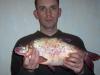 Bream (abramis brama) 1,5kg fish