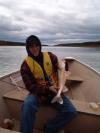 walleye fish