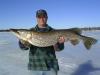 41"/20 lb. Pike fish