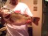 South Gawga Hawg fish