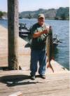49" Sturgeon fish