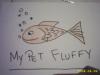 Fluffy the arctic spanish fighting fish