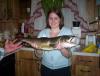 lake trout fish