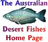 Desert Fish