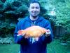 goldfish