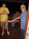 My fisrt two cats fish
