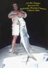 Tarpon fish