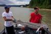 Fraser river sturgeon fish