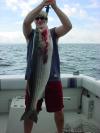 Summer 2004 fish