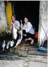 Panamafish