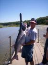 73# Paddlefish