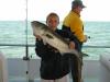 11 LB BlueFish