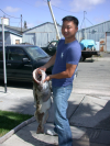 24 Pound Ling Cod fish