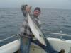 Nine Mile Bank Yellowtail fish