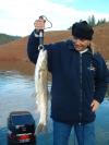 Squaw fish????