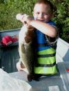 Little Fishking