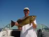 Sanibel Grouper fish