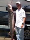 My Sturgeon fish