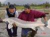 FishinMission