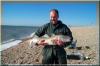 COD at Dengemarsh fish