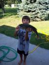whopper fish